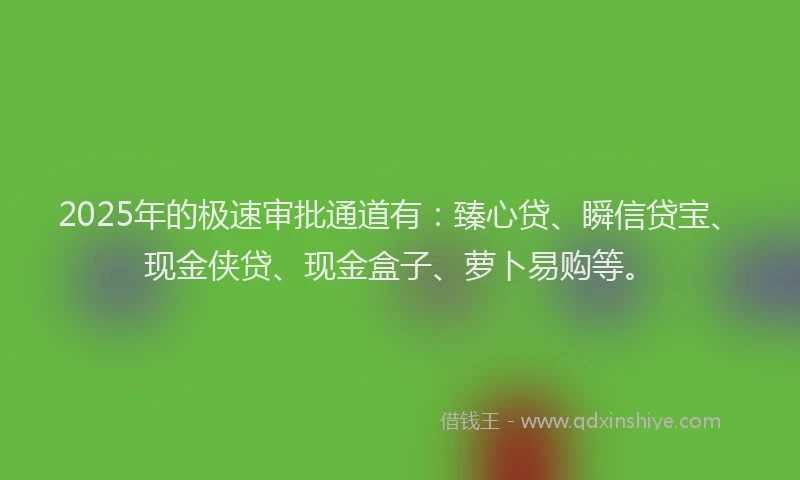 2025年的极速审批通道有：臻心贷、瞬信贷宝、现金侠贷、现金盒子、萝卜易购等。