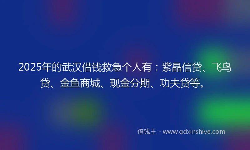 2025年的武汉借钱救急个人有：紫晶信贷、飞鸟贷、金鱼商城、现金分期、功夫贷等。