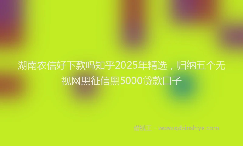 湖南农信好下款吗知乎2025年精选，归纳五个无视网黑征信黑5000贷款口子