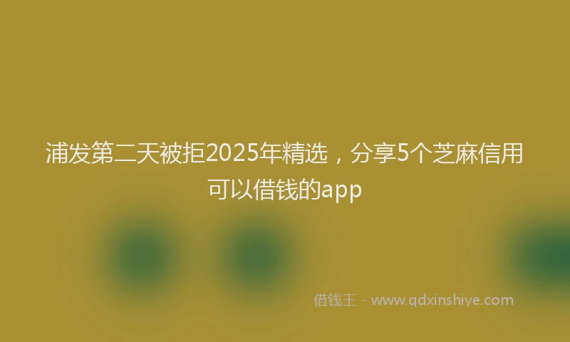 浦发第二天被拒2025年精选，分享5个芝麻信用可以借钱的app