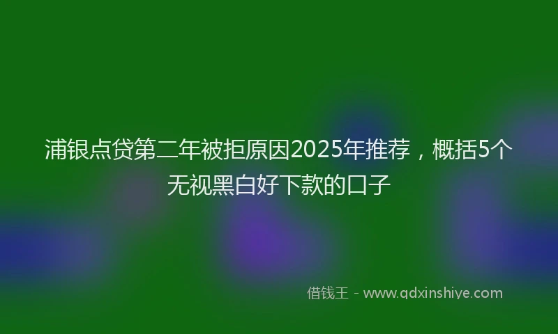 浦银点贷第二年被拒原因2025年推荐，概括5个无视黑白好下款的口子