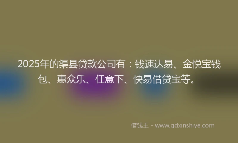 2025年的渠县贷款公司有：钱速达易、金悦宝钱包、惠众乐、任意下、快易借贷宝等。