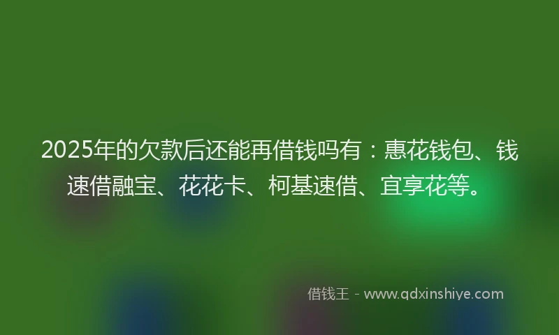 2025年的欠款后还能再借钱吗有：惠花钱包、钱速借融宝、花花卡、柯基速借、宜享花等。