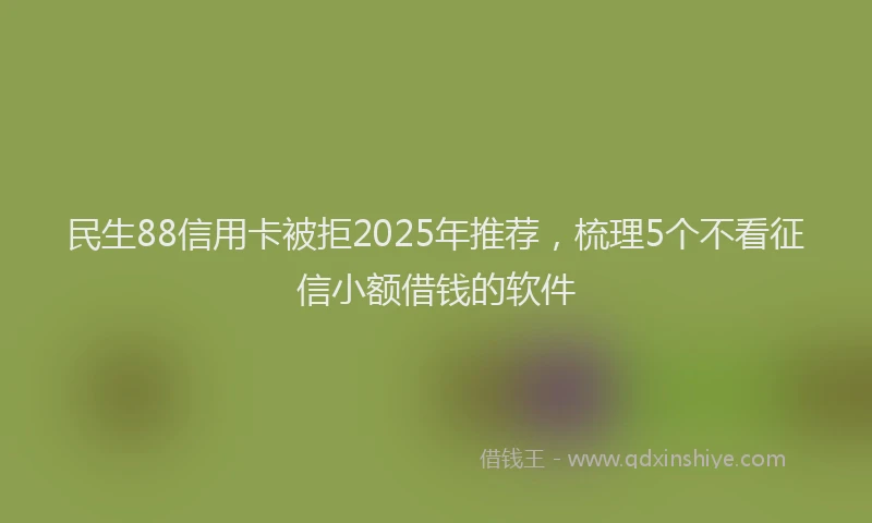 民生88信用卡被拒2025年推荐，梳理5个不看征信小额借钱的软件