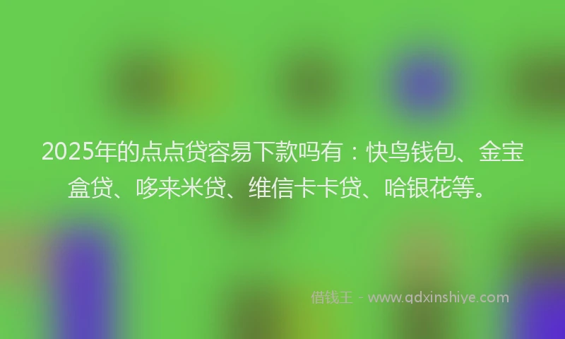 2025年的点点贷容易下款吗有：快鸟钱包、金宝盒贷、哆来米贷、维信卡卡贷、哈银花等。