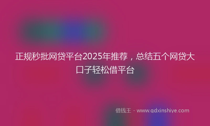 正规秒批网贷平台2025年推荐，总结五个网贷大口子轻松借平台