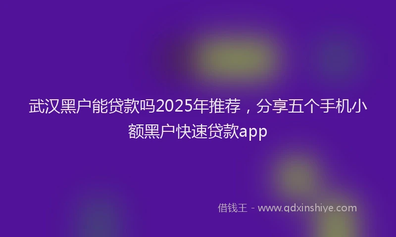 武汉黑户能贷款吗2025年推荐，分享五个手机小额黑户快速贷款app