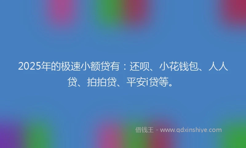 2025年的极速小额贷有：还呗、小花钱包、人人贷、拍拍贷、平安i贷等。