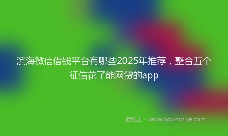 滨海微信借钱平台有哪些2025年推荐，整合五个征信花了能网贷的app