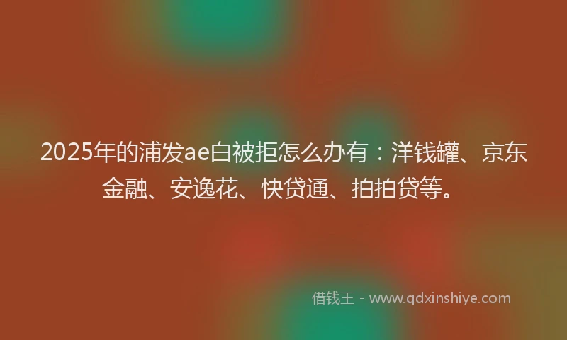 2025年的浦发ae白被拒怎么办有：洋钱罐、京东金融、安逸花、快贷通、拍拍贷等。