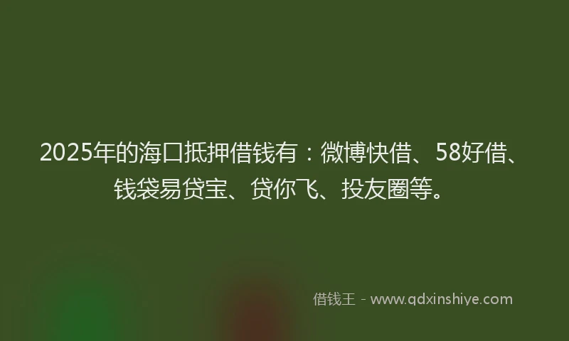 2025年的海口抵押借钱有：微博快借、58好借、钱袋易贷宝、贷你飞、投友圈等。