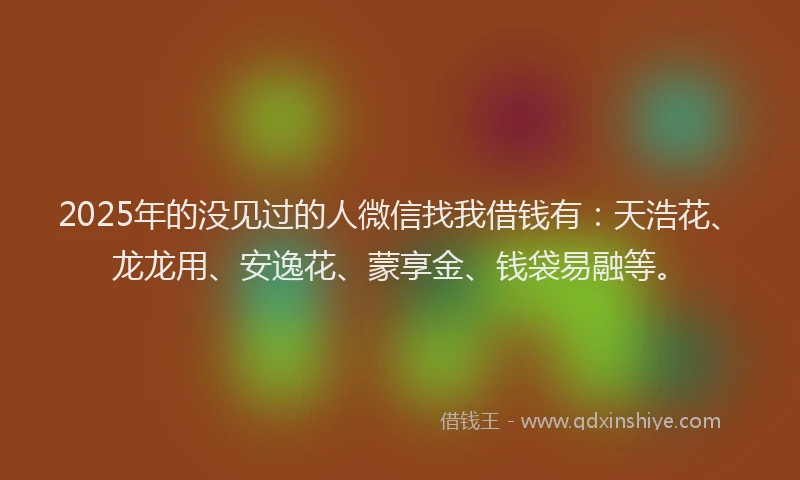 2025年的没见过的人微信找我借钱有：天浩花、龙龙用、安逸花、蒙享金、钱袋易融等。