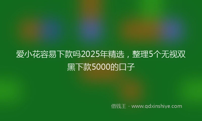 爱小花容易下款吗2025年精选，整理5个无视双黑下款5000的口子