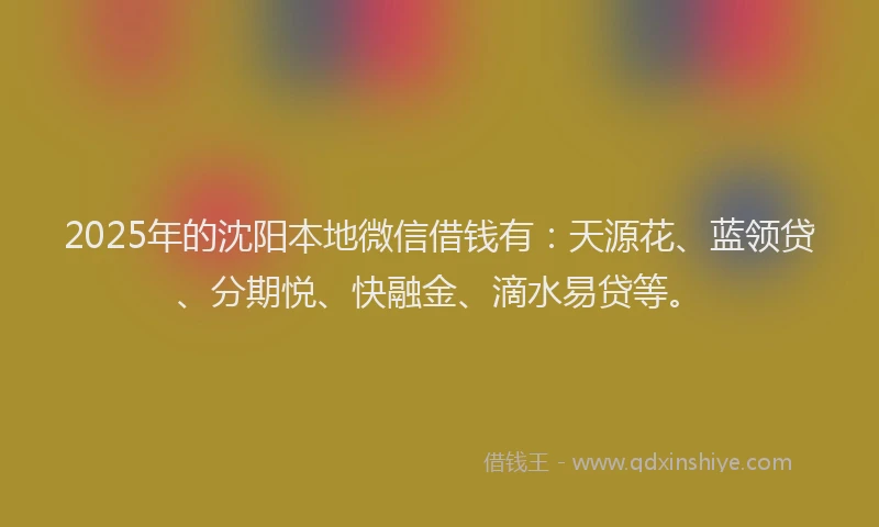 2025年的沈阳本地微信借钱有：天源花、蓝领贷、分期悦、快融金、滴水易贷等。