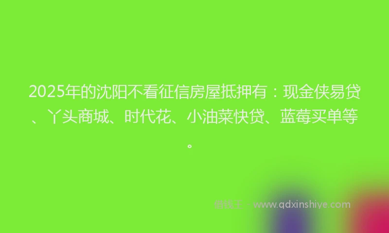 2025年的沈阳不看征信房屋抵押有：现金侠易贷、丫头商城、时代花、小油菜快贷、蓝莓买单等。