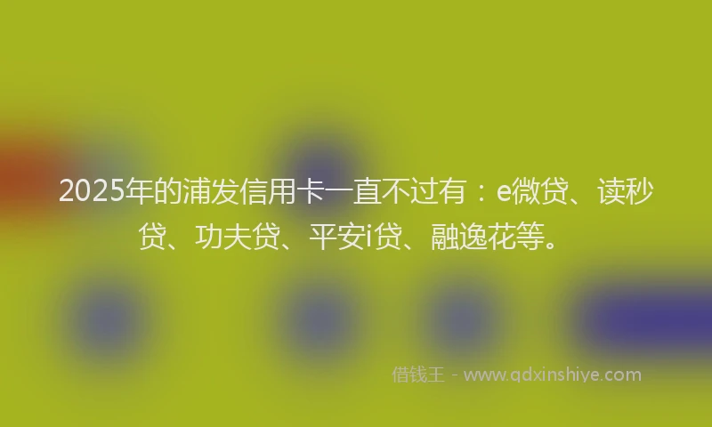 2025年的浦发信用卡一直不过有：e微贷、读秒贷、功夫贷、平安i贷、融逸花等。