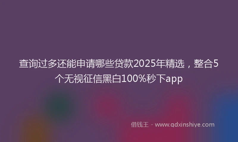 查询过多还能申请哪些贷款2025年精选，整合5个无视征信黑白100%秒下app