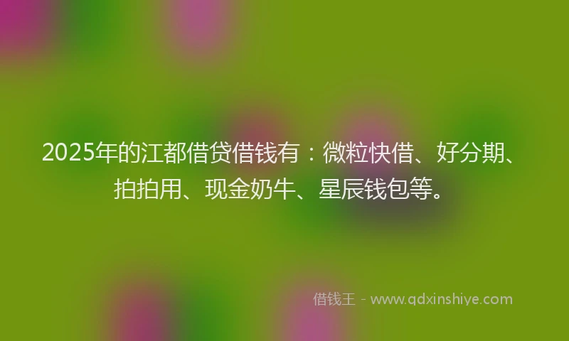 2025年的江都借贷借钱有：微粒快借、好分期、拍拍用、现金奶牛、星辰钱包等。