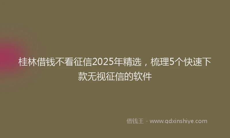 桂林借钱不看征信2025年精选，梳理5个快速下款无视征信的软件