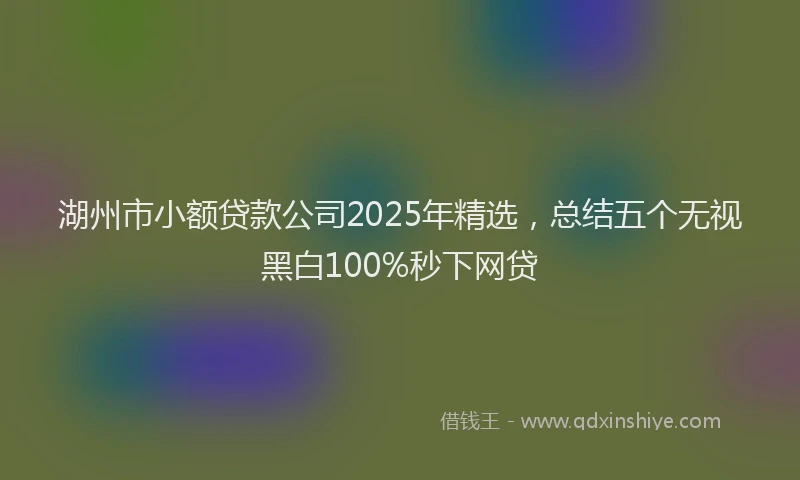 湖州市小额贷款公司2025年精选，总结五个无视黑白100%秒下网贷