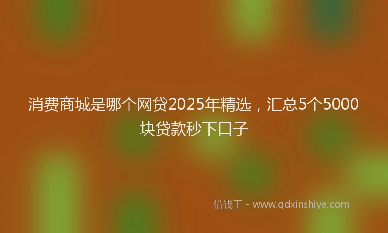 消费商城是哪个网贷2025年精选，汇总5个5000块贷款秒下口子