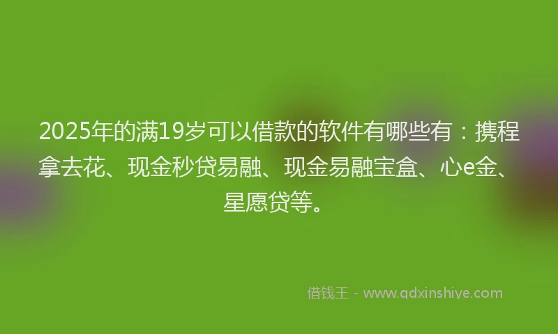 2025年的满19岁可以借款的软件有哪些有：携程拿去花、现金秒贷易融、现金易融宝盒、心e金、星愿贷等。