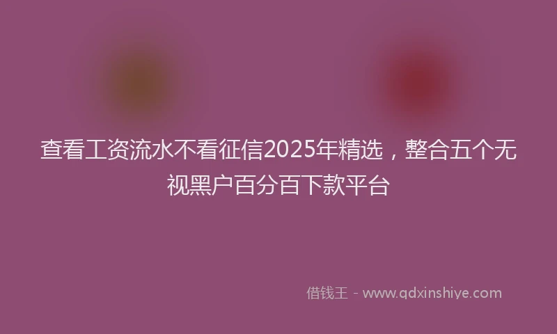 查看工资流水不看征信2025年精选，整合五个无视黑户百分百下款平台