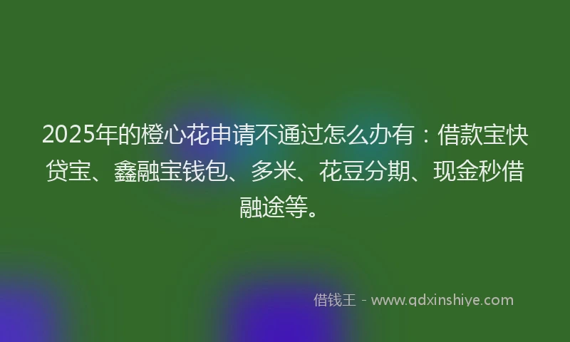 2025年的橙心花申请不通过怎么办有：借款宝快贷宝、鑫融宝钱包、多米、花豆分期、现金秒借融途等。