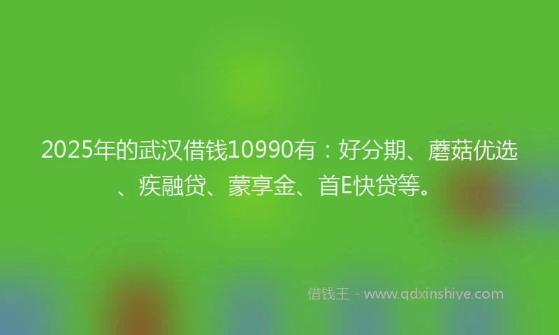 2025年的武汉借钱10990有：好分期、蘑菇优选、疾融贷、蒙享金、首E快贷等。