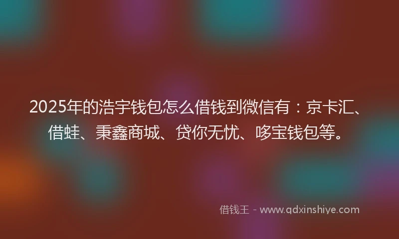 2025年的浩宇钱包怎么借钱到微信有：京卡汇、借蛙、秉鑫商城、贷你无忧、哆宝钱包等。