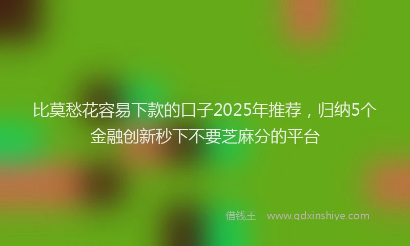 比莫愁花容易下款的口子2025年推荐，归纳5个金融创新秒下不要芝麻分的平台