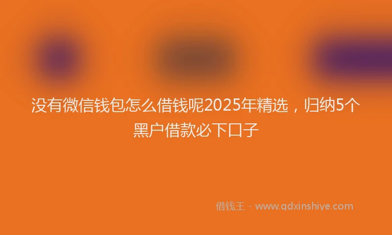 没有微信钱包怎么借钱呢2025年精选，归纳5个黑户借款必下口子