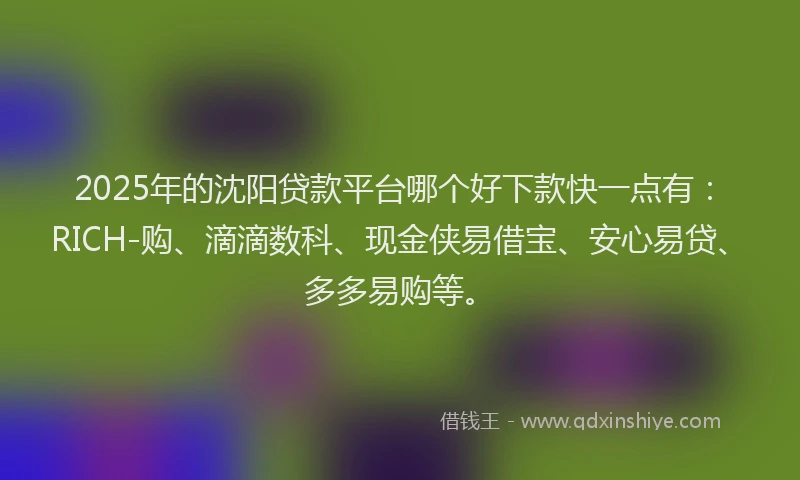 2025年的沈阳贷款平台哪个好下款快一点有：RICH-购、滴滴数科、现金侠易借宝、安心易贷、多多易购等。