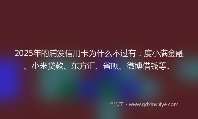 2025年的浦发信用卡为什么不过有：度小满金融、小米贷款、东方汇、省呗、微博借钱等。