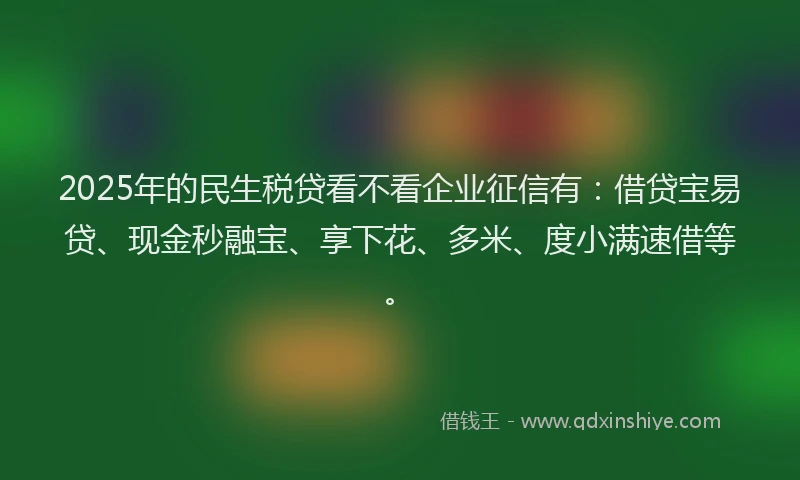 2025年的民生税贷看不看企业征信有：借贷宝易贷、现金秒融宝、享下花、多米、度小满速借等。