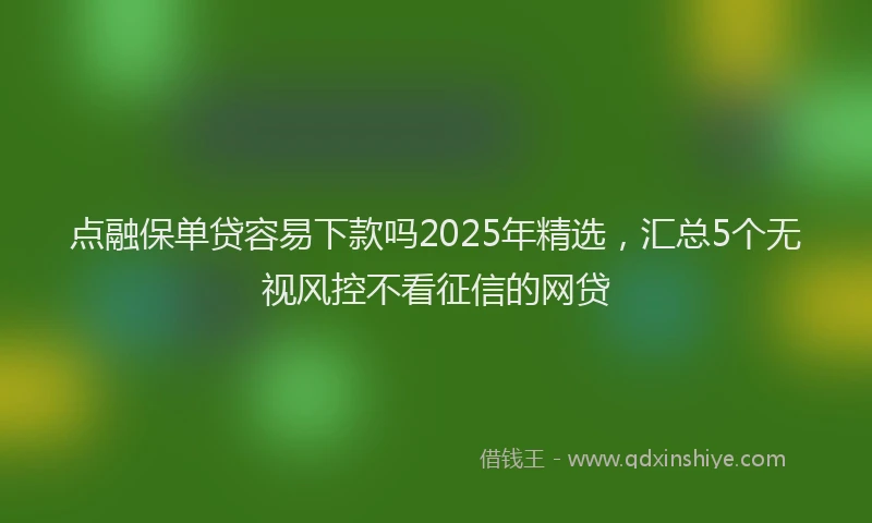 点融保单贷容易下款吗2025年精选，汇总5个无视风控不看征信的网贷