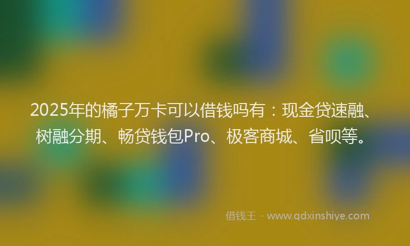 2025年的橘子万卡可以借钱吗有：现金贷速融、树融分期、畅贷钱包Pro、极客商城、省呗等。