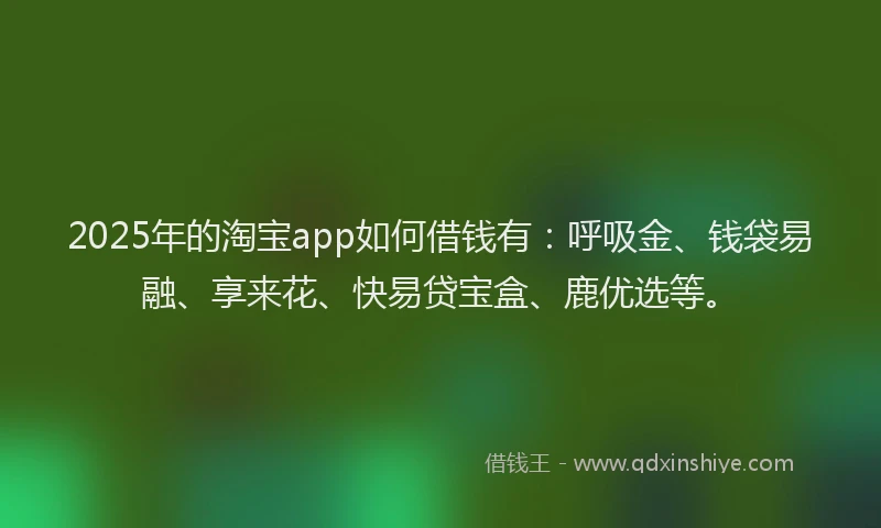 2025年的淘宝app如何借钱有:呼吸金、钱袋易融、享来花、快易贷宝盒、鹿优选等。