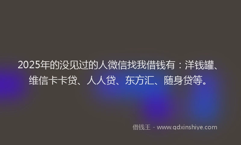 2025年的没见过的人微信找我借钱有：洋钱罐、维信卡卡贷、人人贷、东方汇、随身贷等。