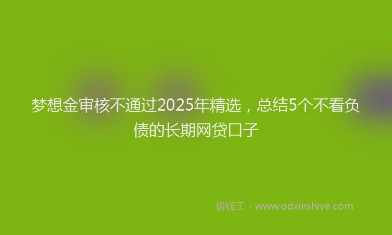 梦想金审核不通过2025年精选，总结5个不看负债的长期网贷口子