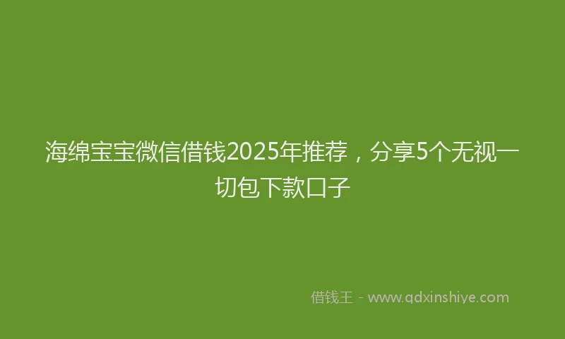 海绵宝宝微信借钱2025年推荐，分享5个无视一切包下款口子