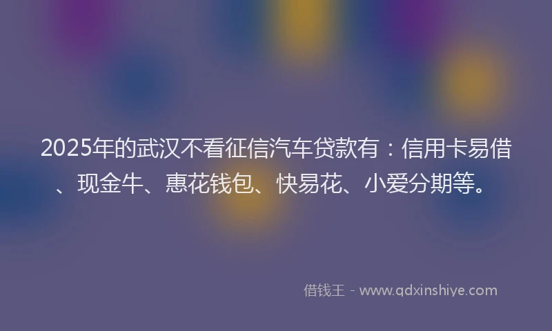 2025年的武汉不看征信汽车贷款有：信用卡易借、现金牛、惠花钱包、快易花、小爱分期等。