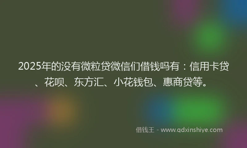 2025年的没有微粒贷微信们借钱吗有：信用卡贷、花呗、东方汇、小花钱包、惠商贷等。