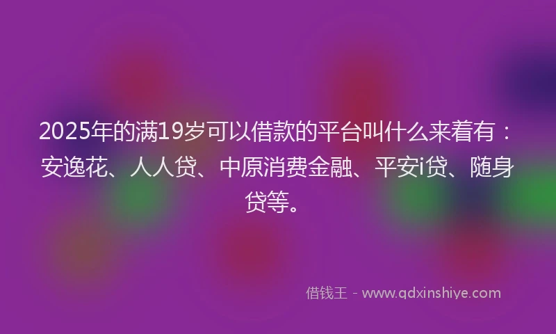 2025年的满19岁可以借款的平台叫什么来着有：安逸花、人人贷、中原消费金融、平安i贷、随身贷等。