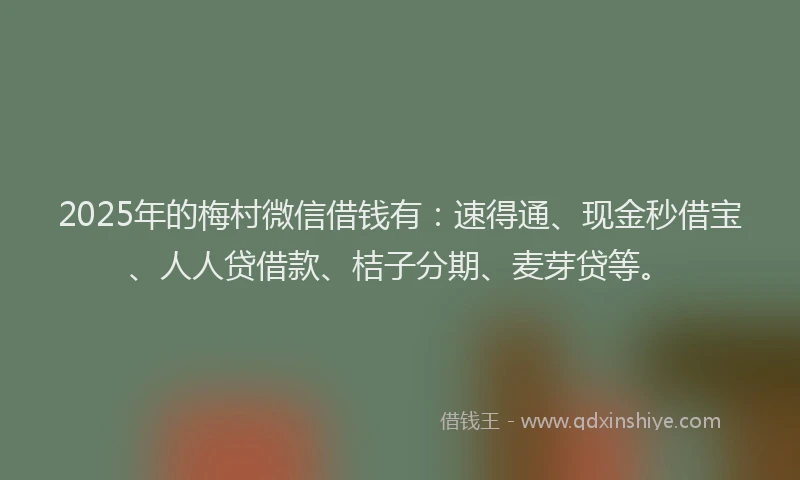 2025年的梅村微信借钱有：速得通、现金秒借宝、人人贷借款、桔子分期、麦芽贷等。