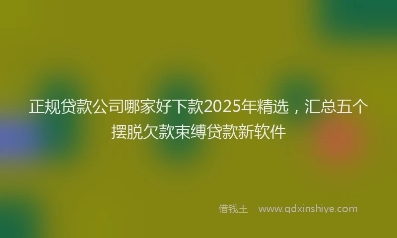 正规贷款公司哪家好下款2025年精选，汇总五个摆脱欠款束缚贷款新软件
