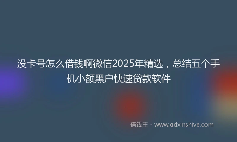 没卡号怎么借钱啊微信2025年精选，总结五个手机小额黑户快速贷款软件