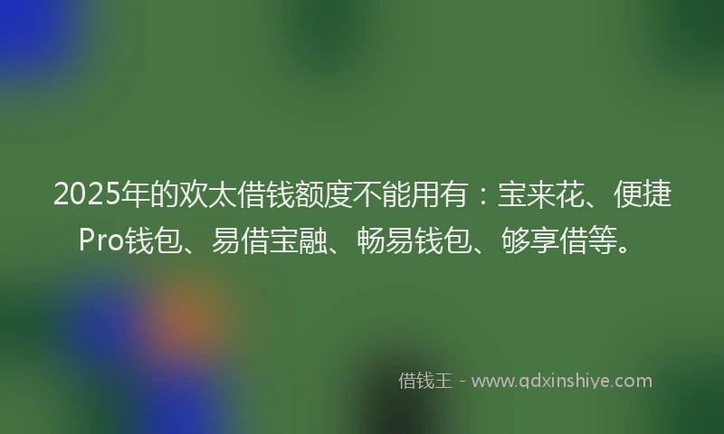 2025年的欢太借钱额度不能用有：宝来花、便捷Pro钱包、易借宝融、畅易钱包、够享借等。