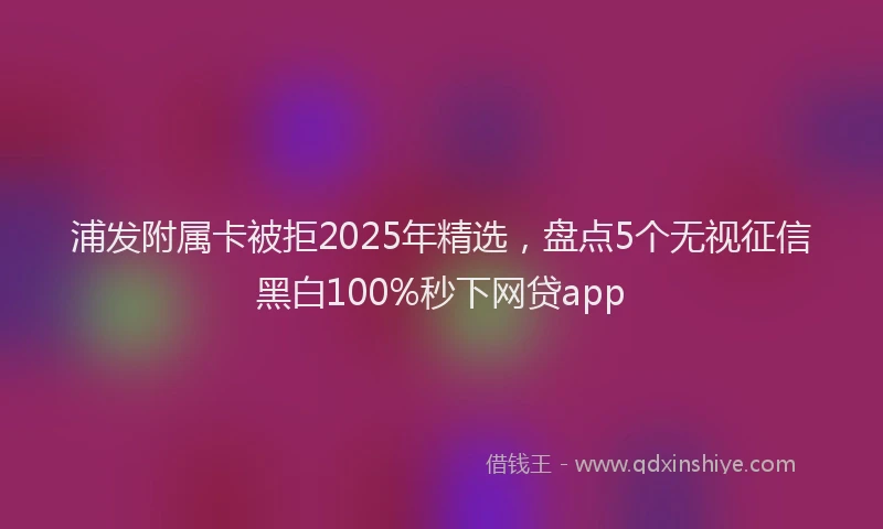 浦发附属卡被拒2025年精选，盘点5个无视征信黑白100%秒下网贷app
