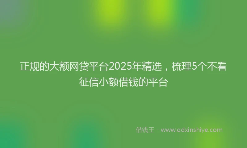 正规的大额网贷平台2025年精选，梳理5个不看征信小额借钱的平台